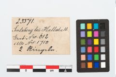 Etikett zu Bronzering (NHMW-PRAE-025571)